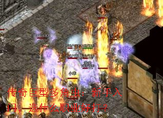 Ͷǳ棺ţѡʲôְҵô