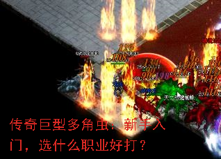 Ͷǳ棺ţѡʲôְҵô
