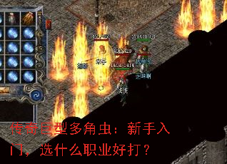 Ͷǳ棺ţѡʲôְҵô