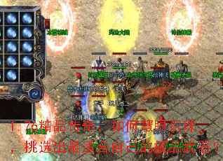 1.76Ʒ棺λʶ飬ѡʺԼļƷ