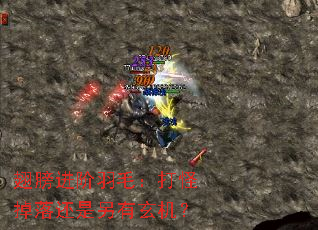 ëֵ仹