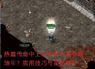 Ѫ谵ΣʵüԽ