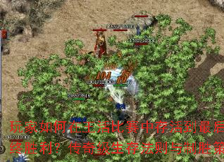 玩家如何在王活比赛中存活到最后并夺取最终胜利?传奇级生存法则与制胜策略全解析 玩家如何在王活比赛中存活到最后并夺取最终胜利?传奇级生存法则与制胜策略全解析