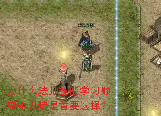 Ϊʲôʦѧϰ˳лǽҪѡ