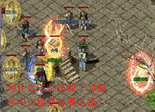 Ϊʲôʦѧϰ˳лǽҪѡ