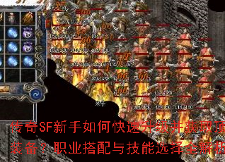 SFοȡװְҵ뼼ѡȫ