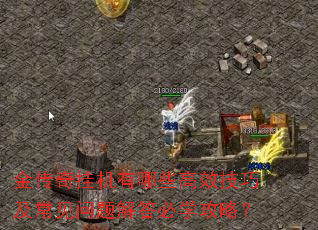 һЩЧɼѧԣ