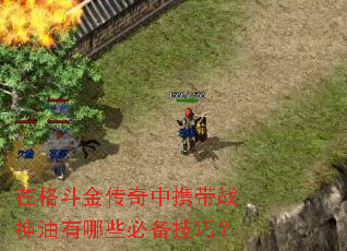 ڸ񶷽ЯսЩرɣ
