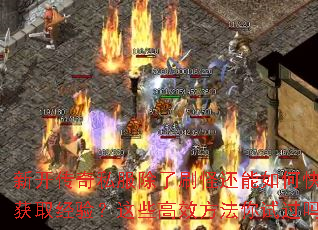 ¿˽ˢֻοٻȡ飿ЩЧԹ