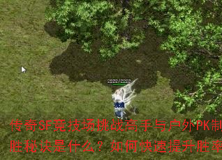 SFս뻧PKʤؾʲôοʤʣ
