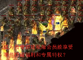 ΪϷ˽ԱЩظרȨ