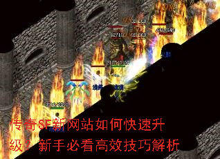 SFվοֱؿЧɽ