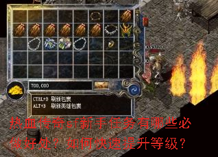 热血传奇sf新手任务有哪些必做好处?如何快速提升等级? 热血传奇sf新手任务有哪些必做好处?如何快速提升等级?