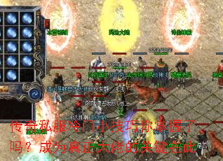 ˽С𣿳ΪеĹؼڴ