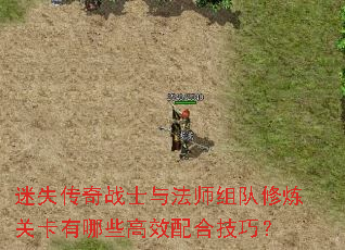 ʧսʿ뷨ʦؿЩЧϼɣ