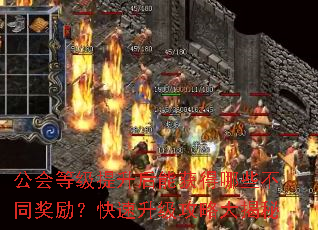 公会等级提升后能获得哪些不同奖励?快速升级攻略大揭秘 公会等级提升后能获得哪些不同奖励?快速升级攻略大揭秘