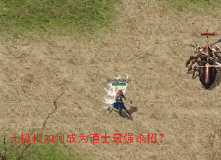 无极棍如何成为道士最强杀招? 无极棍如何成为道士最强杀招?