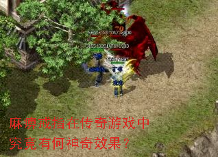 麻痹戒指在传奇游戏中究竟有何神奇效果? 麻痹戒指在传奇游戏中究竟有何神奇效果?