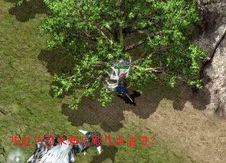 热血传奇未知暗殿几点能进? 热血传奇未知暗殿几点能进?