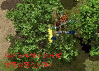 冥界法神领主的技能伤害究竟有多强? 冥界法神领主的技能伤害究竟有多强?