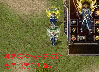 冥界法神领主的技能伤害究竟有多强? 冥界法神领主的技能伤害究竟有多强?