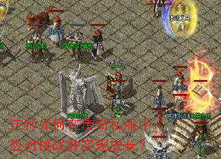 法师如何在传奇私服中应对挑战并实现成长? 法师如何在传奇私服中应对挑战并实现成长?