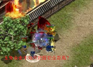 玉兔合击中如何把握职业距离? 玉兔合击中如何把握职业距离?