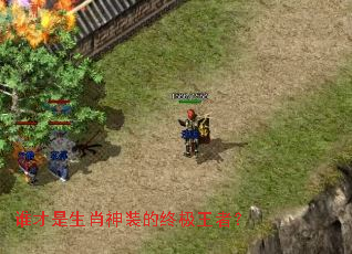 谁才是生肖神装的终极王者? 谁才是生肖神装的终极王者?