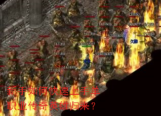 新手如何快速上手单职业传奇英雄归来? 新手如何快速上手单职业传奇英雄归来?