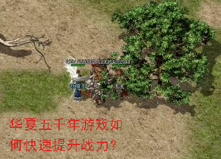 华夏五千年游戏如何快速提升战力? 华夏五千年游戏如何快速提升战力?
