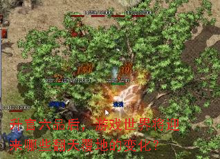 ƷϷ罫ӭЩ츲صı仯