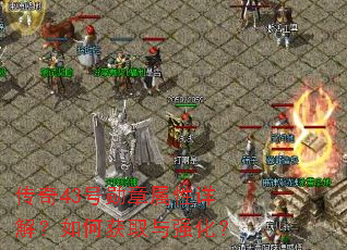 传奇43号勋章属性详解?如何获取与强化? 传奇43号勋章属性详解?如何获取与强化?