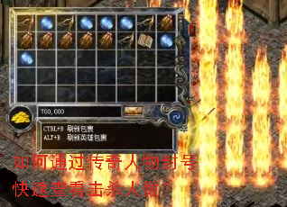 如何通过传奇人物封号快速查看击杀人数? 如何通过传奇人物封号快速查看击杀人数?