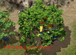 传奇私服新区如何快速升级? 传奇私服新区如何快速升级?