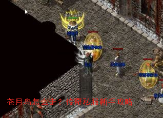 苍月岛怎么走?传奇私服新手攻略 苍月岛怎么走?传奇私服新手攻略