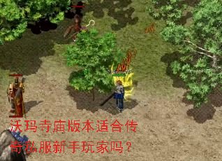 沃玛寺庙版本适合传奇私服新手玩家吗? 沃玛寺庙版本适合传奇私服新手玩家吗?