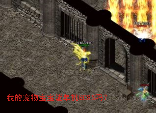 �ҵĳ��ﱦ���ܵ���BOSS��