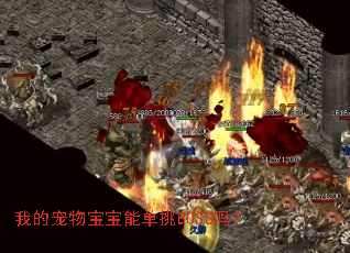 �ҵĳ��ﱦ���ܵ���BOSS��