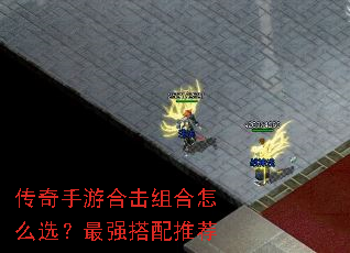 �������κϻ������ôѡ����ǿ�����Ƽ�