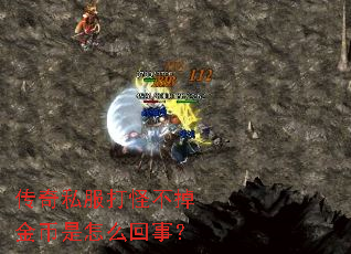 传奇私服打怪不掉金币是怎么回事? 传奇私服打怪不掉金币是怎么回事?