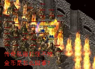 传奇私服打怪不掉金币是怎么回事? 传奇私服打怪不掉金币是怎么回事?