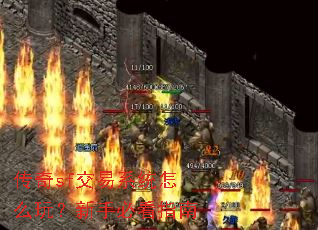 ����sf����ϵͳ��ô�棿���ֱؿ�ָ��