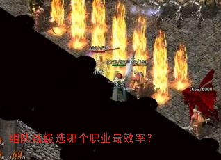 �������ѡ�ĸ�ְҵ��Ч�ʣ�