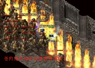 ���º�����ο��������ȼ���