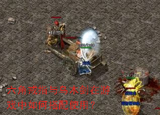 六角戒指与乌木剑在游戏中如何搭配使用? 六角戒指与乌木剑在游戏中如何搭配使用?