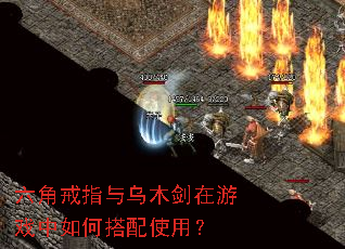 六角戒指与乌木剑在游戏中如何搭配使用? 六角戒指与乌木剑在游戏中如何搭配使用?