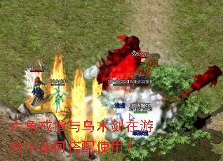 六角戒指与乌木剑在游戏中如何搭配使用? 六角戒指与乌木剑在游戏中如何搭配使用?