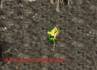 ������������ת��ʦְҵ��