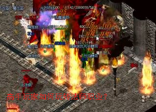 ������������ת��ʦְҵ��