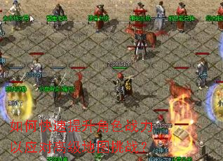 ��ο���������ɫս����Ӧ�Ը߼���ͼ��ս��